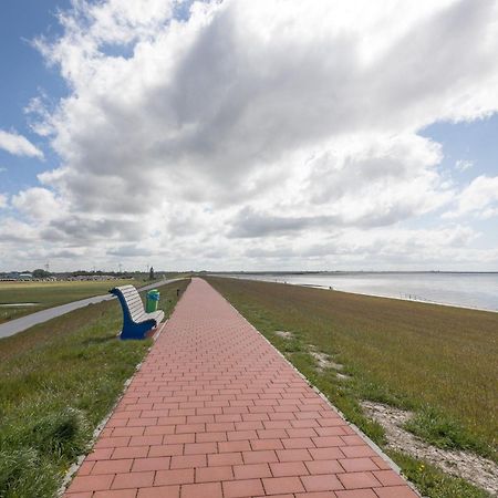 Direkt Am Deich - Ferienwohnung Amrum Im Gaestehaus Am Badedeich Dagebüll Eksteriør bilde
